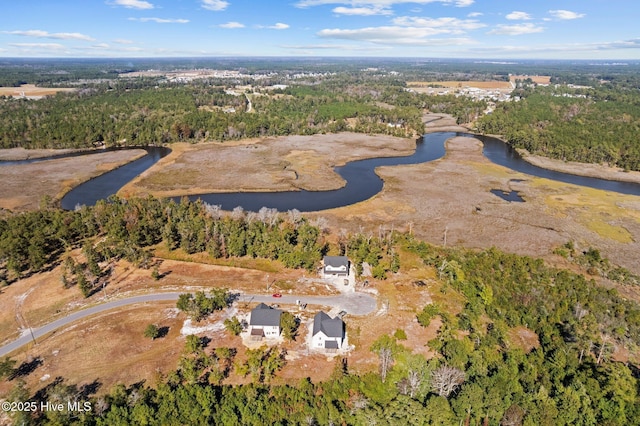 295 E Ivybridge Dr, Hubert, NC 28539 - view of property location with a nearby body of water and a heavily wooded area