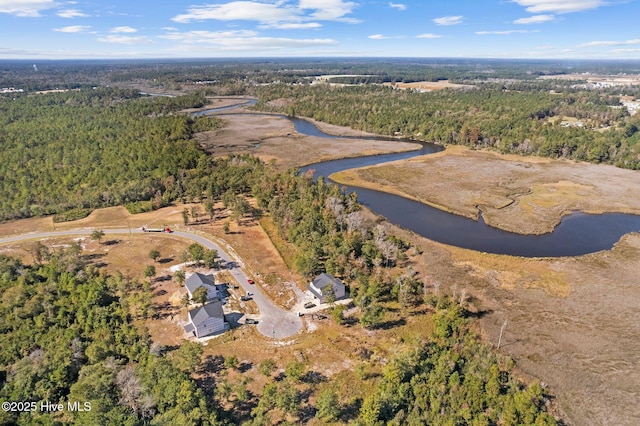 295 E Ivybridge Dr, Hubert, NC 28539 - aerial view of property and surrounding area featuring a large body of water and a forest