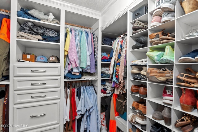 379 Greenbrier Rd, Tarboro, NC 27886 - view of spacious closet