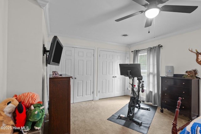 379 Greenbrier Rd, Tarboro, NC 27886 - workout area featuring ornamental molding, ceiling fan, carpet, and visible vents