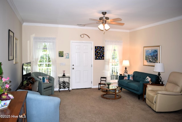carpeted living room with plenty of natural light, ornamental molding, and a ceiling fan