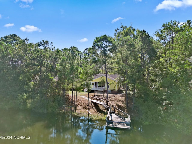 dock area featuring a water view