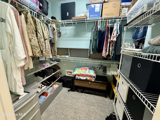 165 Laurel Oak Ln, Pinebluff, NC 28373 - view of spacious closet