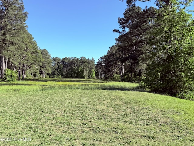 165 Laurel Oak Ln, Pinebluff, NC 28373 - view of green lawn featuring a forest view