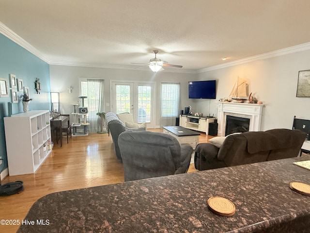165 Laurel Oak Ln, Pinebluff, NC 28373 - living room with ornamental molding, a ceiling fan, wood finished floors, and a glass covered fireplace