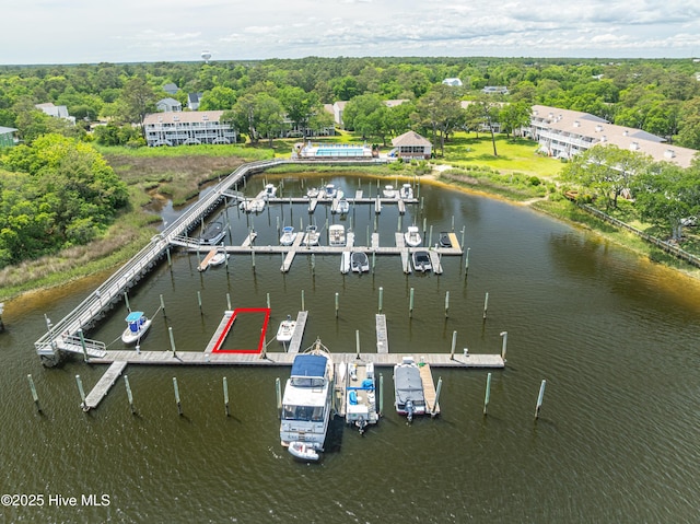 drone / aerial view of a large body of water