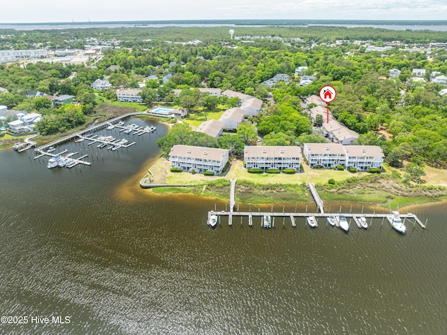 aerial view of a large body of water and a marina