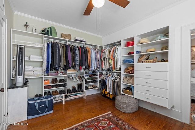 spacious closet with a ceiling fan and wood finished floors