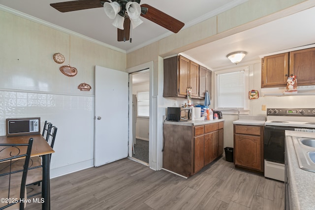 kitchen featuring white range with electric stovetop, exhaust hood, ornamental molding, brown cabinets, and light wood-style flooring