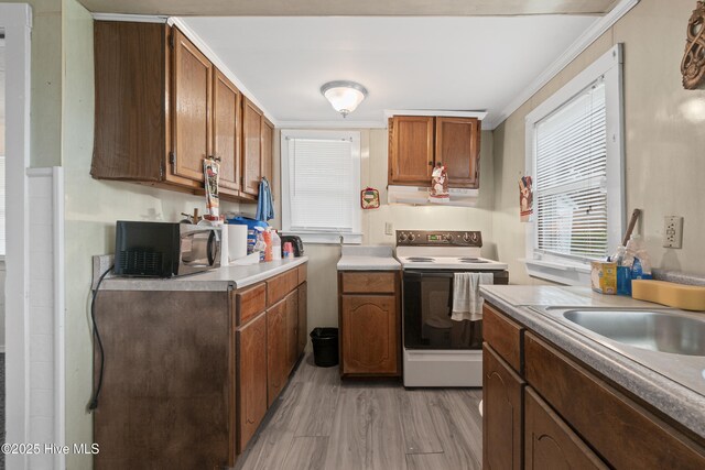 kitchen with light wood-style floors, ventilation hood, stainless steel microwave, light countertops, and white electric stove