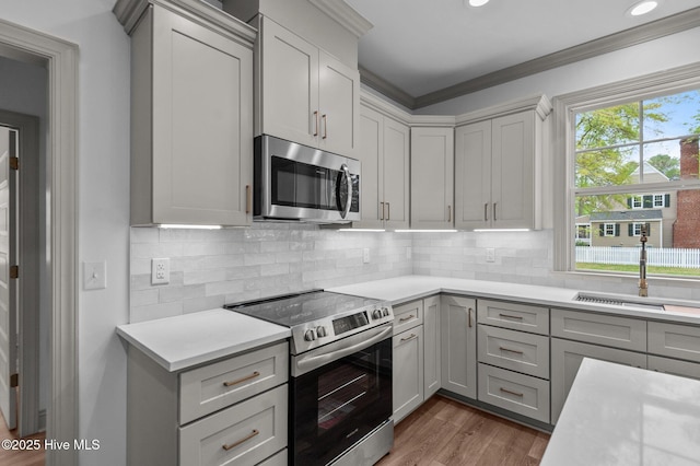 kitchen featuring light countertops, crown molding, and stainless steel appliances