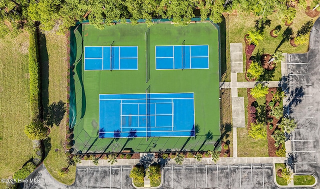 bird's eye view