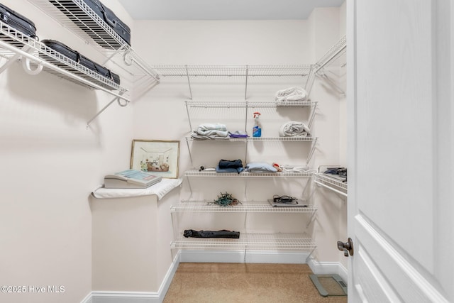 3400 Canmorre Ct, Fayetteville, NC 28306 - walk in closet featuring carpet flooring