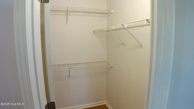 view of walk in closet