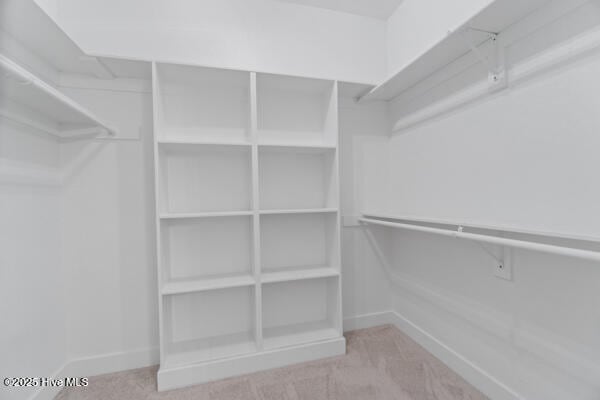 119 Bridgetowne Ave, Edenton, NC 27932 - walk in closet featuring carpet flooring