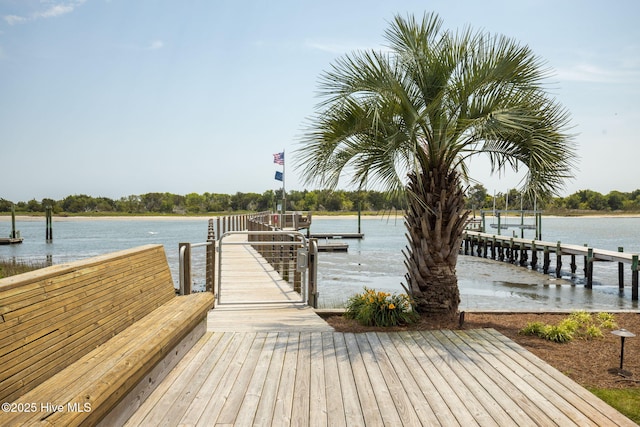 dock area with a water view