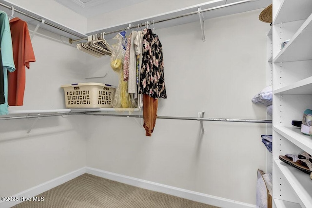 1957 Prestwick Ln, Wilmington, NC 28405 - walk in closet featuring carpet floors