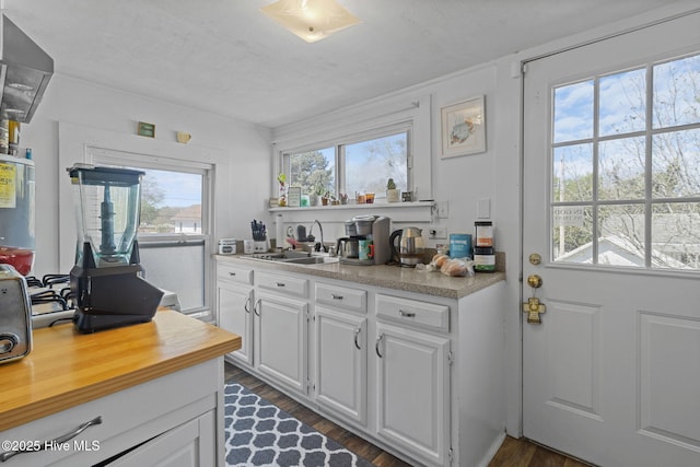 kitchen featuring white cabinets, dark wood-style flooring, and a sink