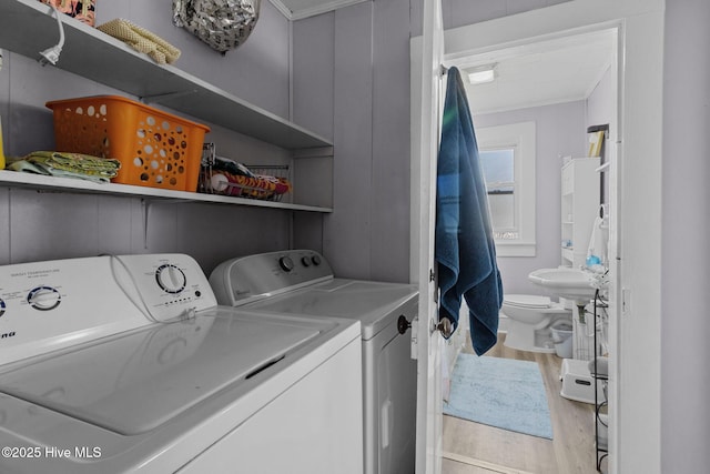 clothes washing area featuring laundry area, wood finished floors, crown molding, and washer and clothes dryer