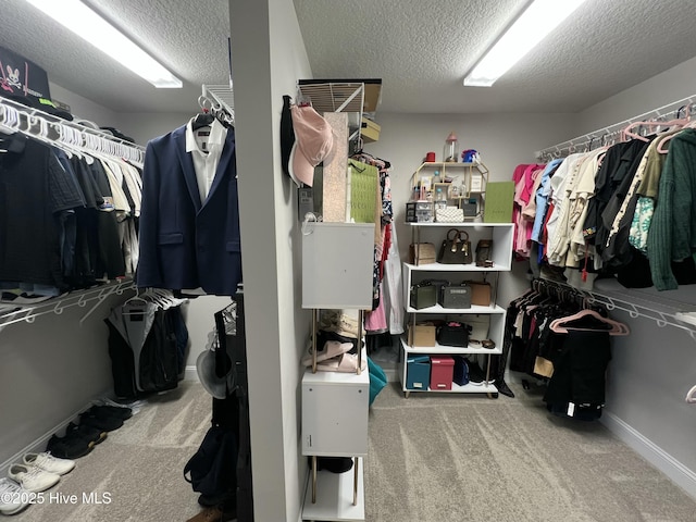 spacious closet featuring carpet floors