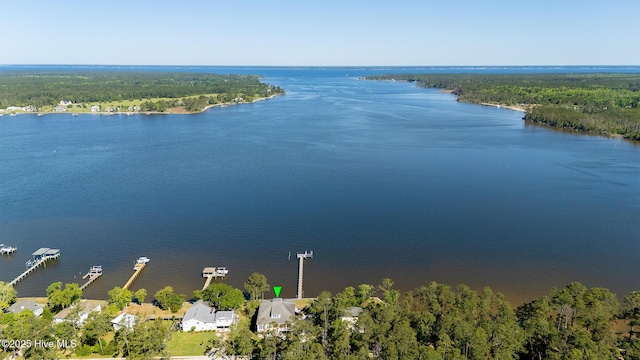 drone / aerial view featuring a water view and a view of trees
