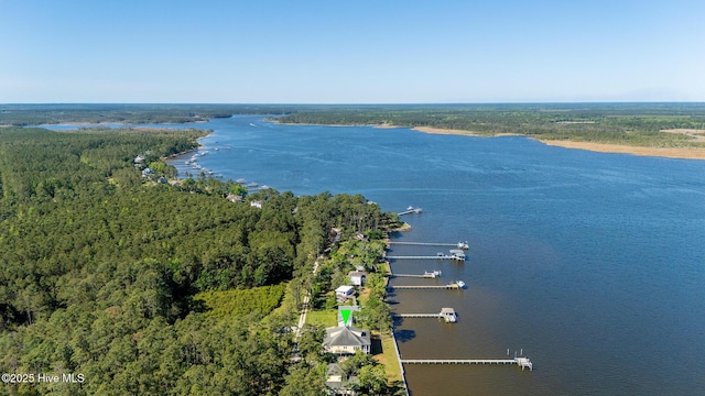 aerial view featuring a water view and a view of trees