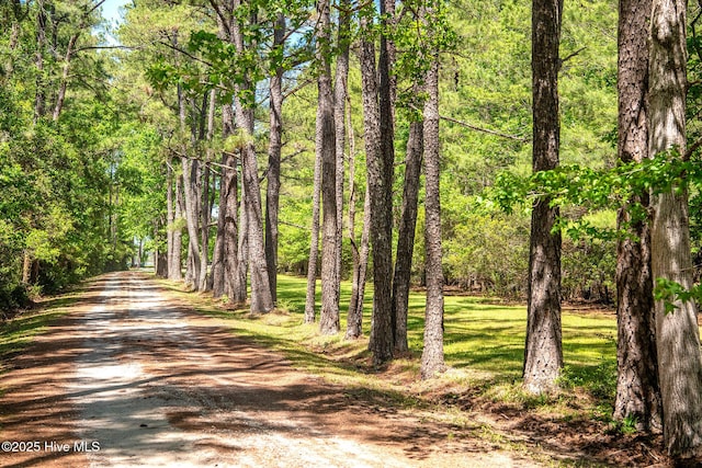 view of street with a forest view