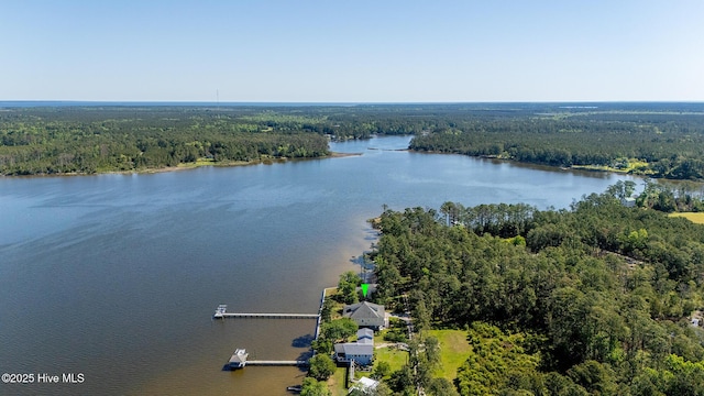 bird's eye view featuring a water view and a wooded view