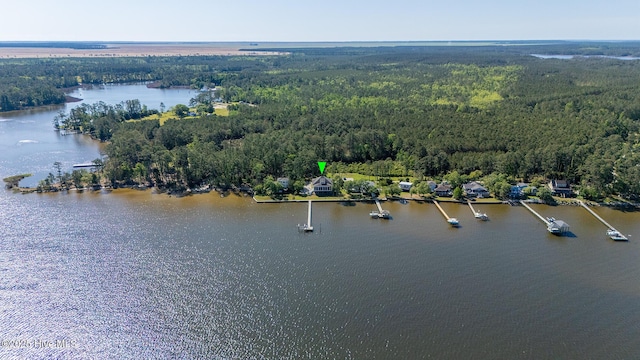 bird's eye view featuring a water view and a view of trees