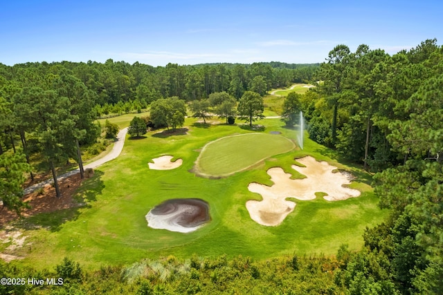 154 Windsor Cir SW, Ocean Isle Beach, NC 28469 - bird's eye view of a local golf course and a forest