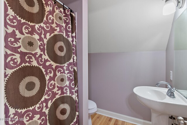 103 Arabian Cir, Beulaville, NC 28518 - bathroom with toilet, wood finished floors, baseboards, curtained shower, and a sink