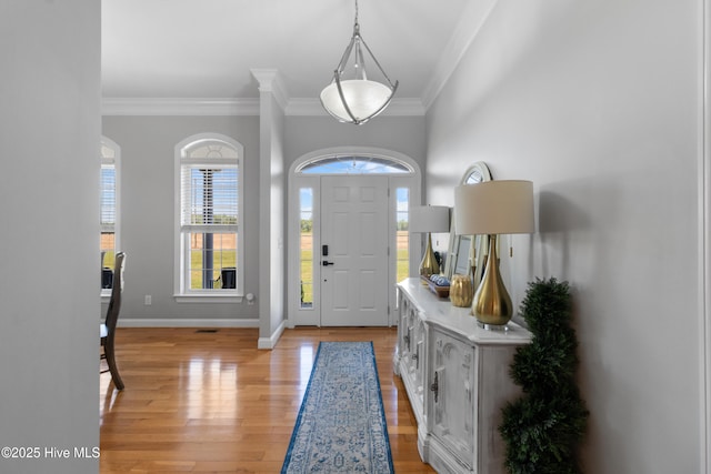 103 Arabian Cir, Beulaville, NC 28518 - foyer featuring ornamental molding, light wood finished floors, and baseboards