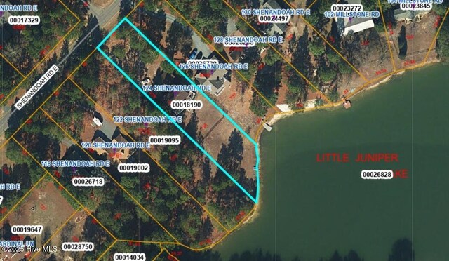 124 Shenandoah Rd E, West End, NC 27376 - aerial view of property's location with property parcel outlined