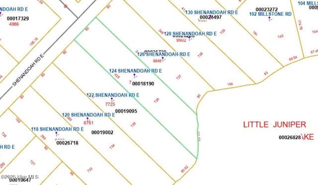 124 Shenandoah Rd E, West End, NC 27376 - parcel map