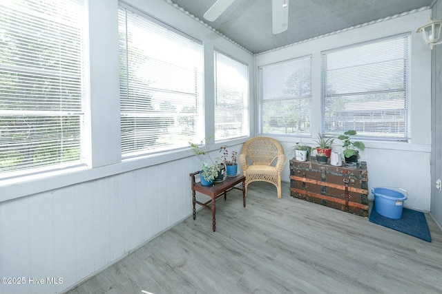 105 Blue Heron Rd, Shiloh, NC 27974 - sunroom with plenty of natural light and wood finished floors