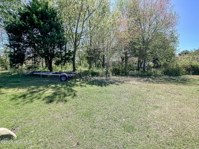 105 Blue Heron Rd, Shiloh, NC 27974 - view of green lawn