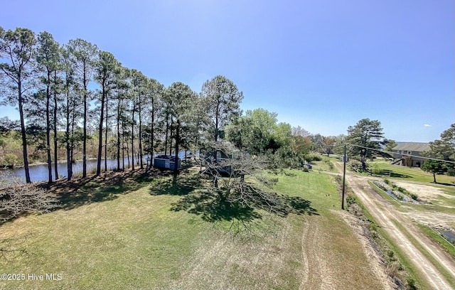 105 Blue Heron Rd, Shiloh, NC 27974 - view of yard
