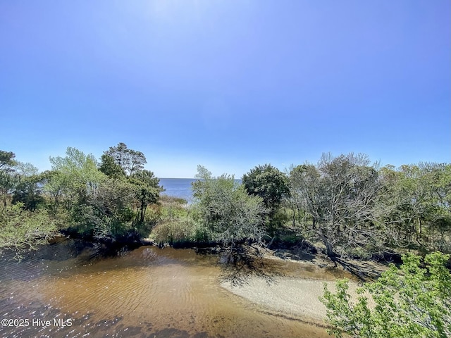 105 Blue Heron Rd, Shiloh, NC 27974 - water view