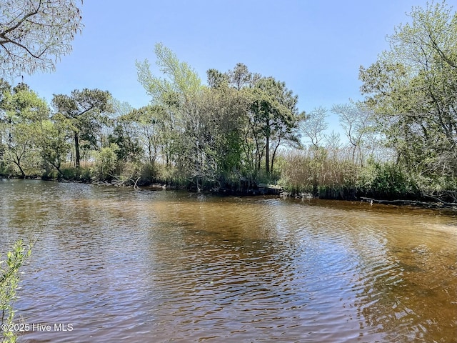 105 Blue Heron Rd, Shiloh, NC 27974 - water view