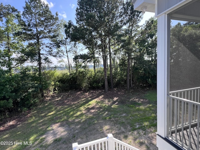 3216 Whichards Beach Rd, Chocowinity, NC 27817 - view of yard