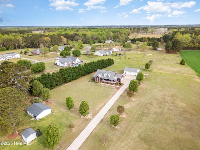 drone / aerial view