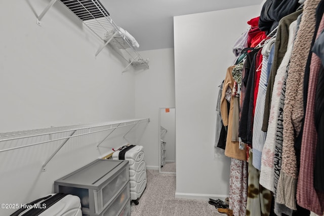 spacious closet featuring carpet floors