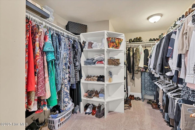 104 Old Club House Ln, Southern Pines, NC 28387 - spacious closet with carpet floors