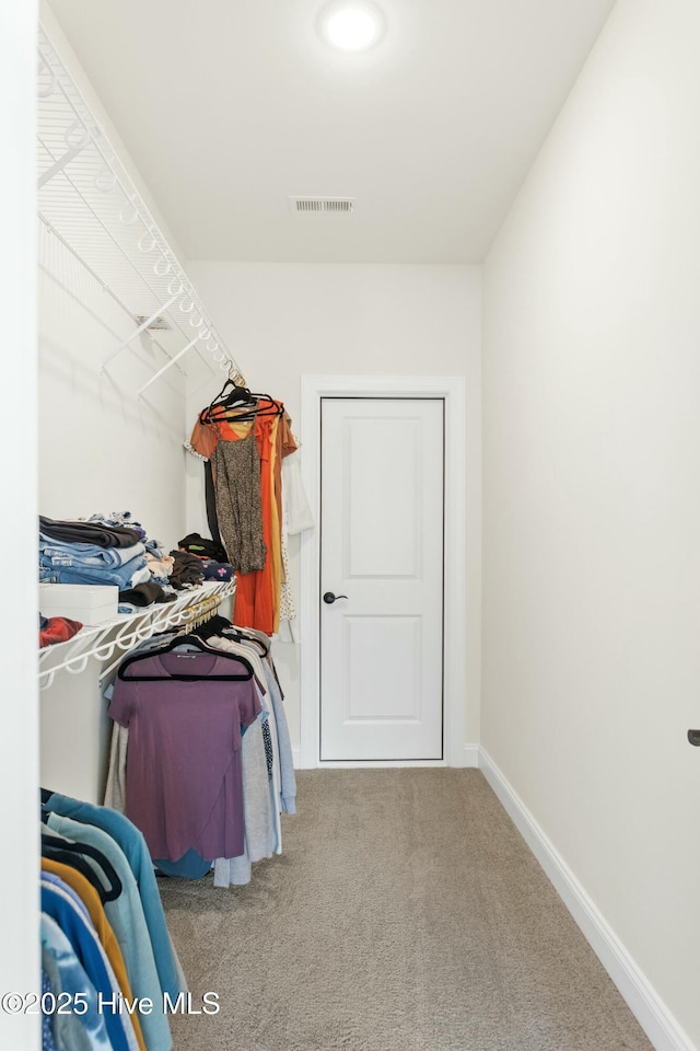 walk in closet with carpet and visible vents