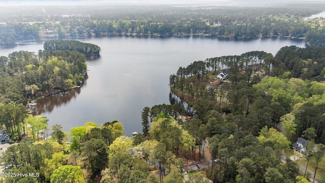 aerial view featuring a water view and a view of trees