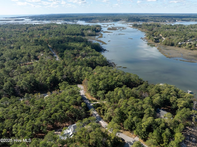 3359 Portside Dr SW, Supply, NC 28462 - aerial view of property's location featuring a large body of water and a forest