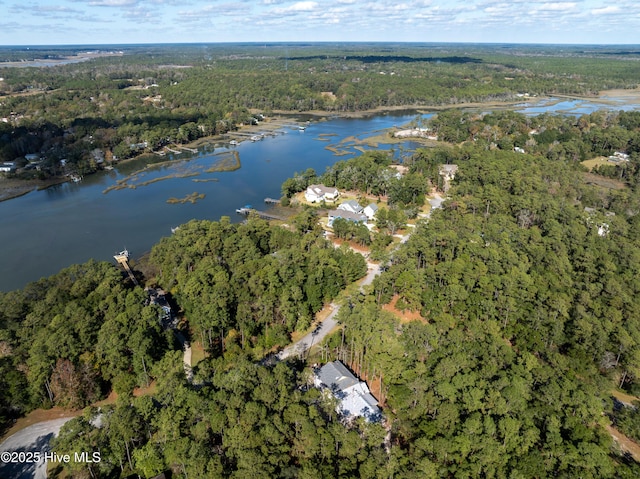 3359 Portside Dr SW, Supply, NC 28462 - view of property location featuring a forest and a nearby body of water