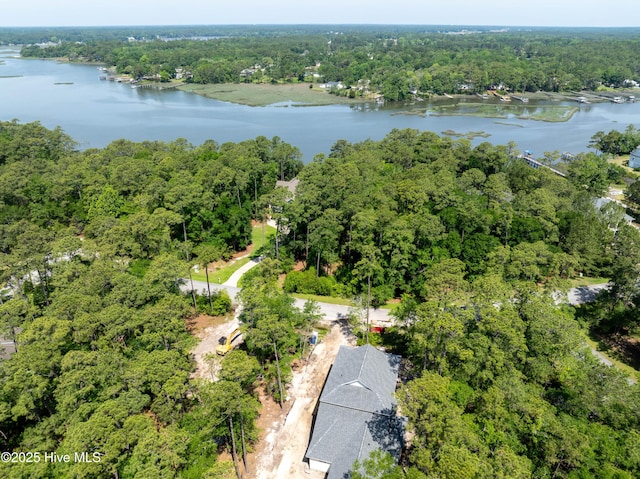 3359 Portside Dr SW, Supply, NC 28462 - bird's eye view of a heavily wooded area and a large body of water