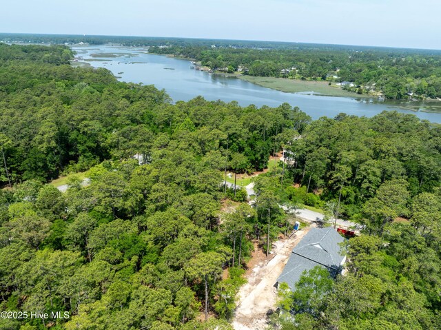 3359 Portside Dr SW, Supply, NC 28462 - bird's eye view of a heavily wooded area and a large body of water