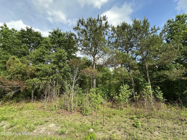 TBD3 Mcgirt Rd, Maxton, NC 28364